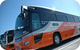 Airport limousine bus