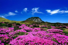 Photo of Jeju Island, Korea