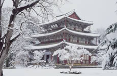Snow Trill Winter Korea 5D4N