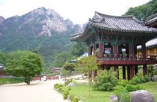 Photo of the city of Seoul